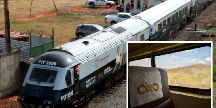 Todo lo que incluye tu viaje en el Tren Interceánico de Veracruz a Oaxaca por 304 pesos