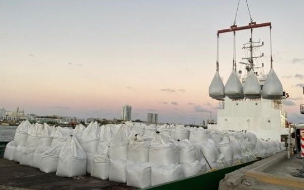 ¡Muelle de cruceros de Disney tiene sello de concreto colombiano! | Empresas | Negocios