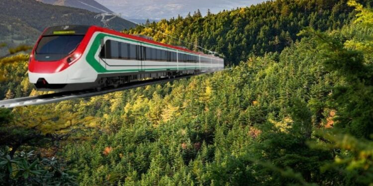 Tren Insurgente inicia operaciones en segunda etapa a finales de agosto