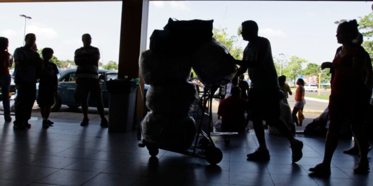 El Oropouche arrecia en Cuba y llega a EEUU; piden suspender viajes a la isla para evitar contagios