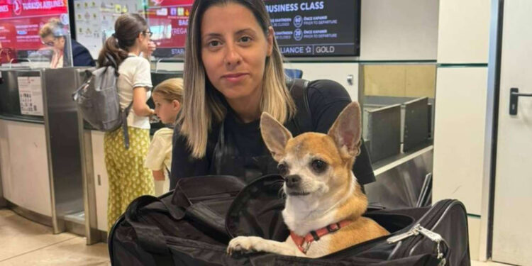 El servicio de traslado de mascotas de Pet World Travel se amplía tanto en España como en Europa