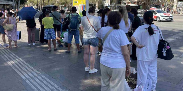 El centro de Palma se queda sin taxis los días de cruceros al dispararse la demanda