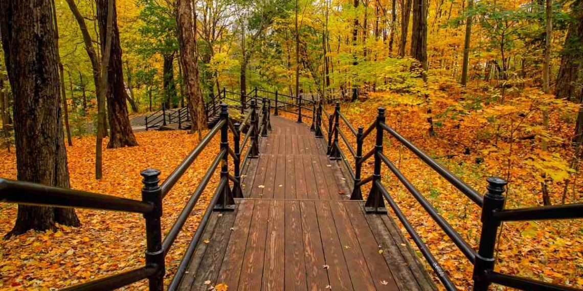 Las mejores ciudades del mundo para disfrutar el otoño
