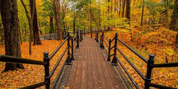 Las mejores ciudades del mundo para disfrutar el otoño