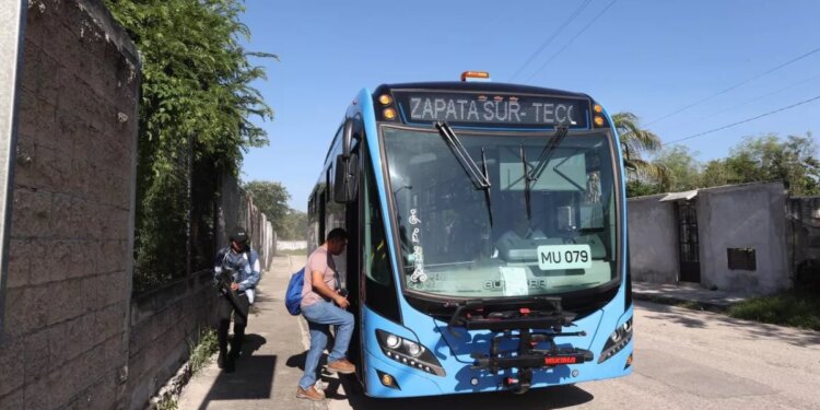 Sur de Mérida estrena dos nuevas rutas ‘Va y Ven’ con viajes gratis