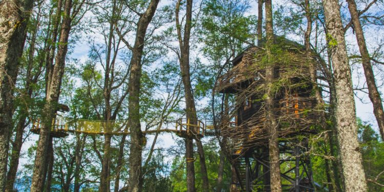 lo que prefieren los chilenos según datos de la plataforma