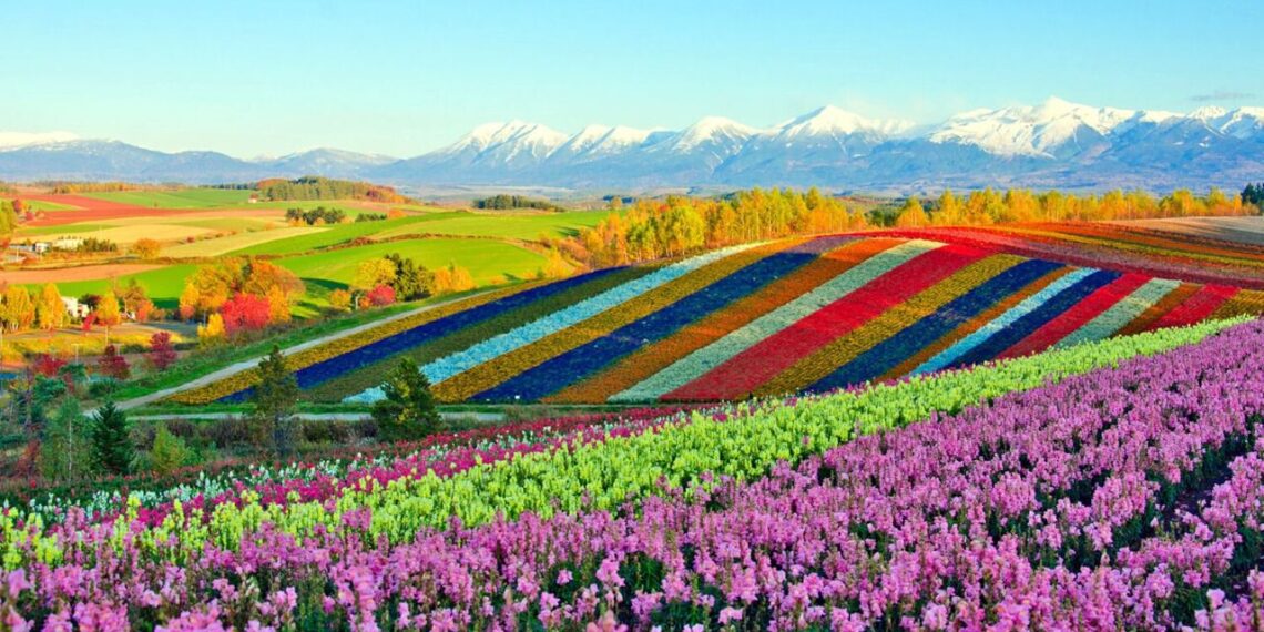 Consejos para viajar en verano a Japón