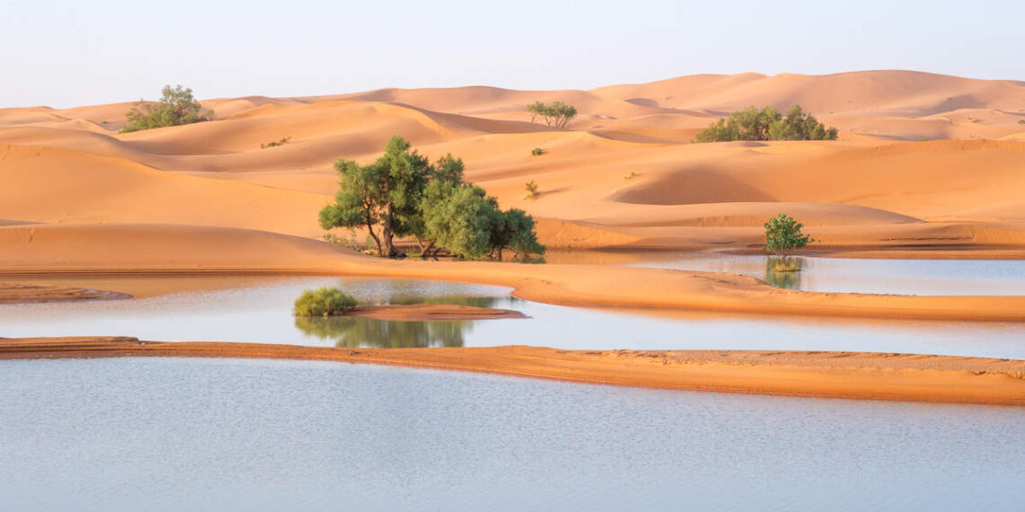 fotografiamos las lagunas aparecidas tras las lluvias excepcionales
