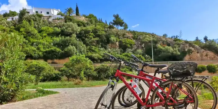 Bicicletas estacionadas en un camino pavimentado con una colina verde y una casa blanca en el fondo bajo un cielo azul.
