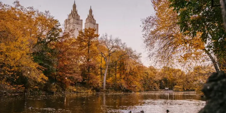 EU queda como el mayor mercado de viajes y turismo del mundo; México ocupa séptimo lugar • Negocios • Forbes México