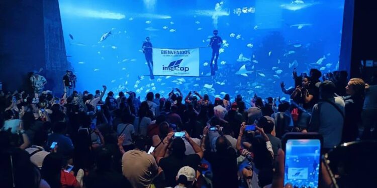 Disfrutan agentes de viajes del País del Gran Acuario Mazatlán