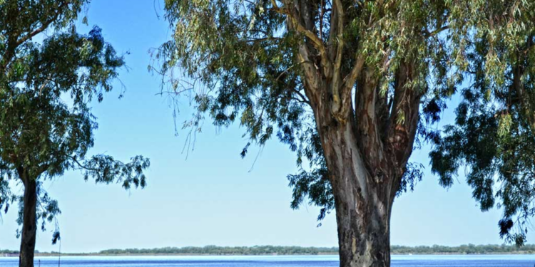 los cinco destinos cerca de Buenos Aires ideales para disfrutar durante el fin de semana