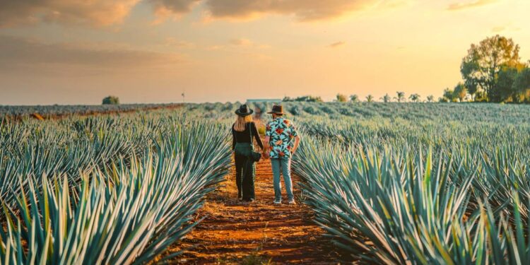 Explora Jalisco, una nueva forma de organizar tus viajes por el estado