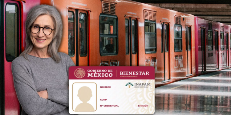 Tarjeta INAPAM: lista completa de servicios de transporte que te dan viajes gratis
