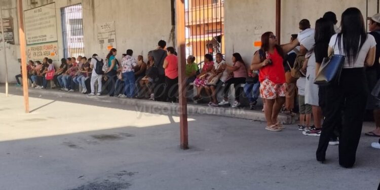 Habitantes de Progreso sufren perjuicios en el transporte cuando llegan cruceros