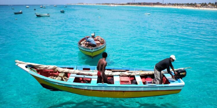 El Periódico de España