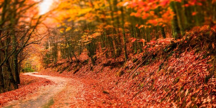 Estos son los mejores destinos para disfrutar de un otoño viajero