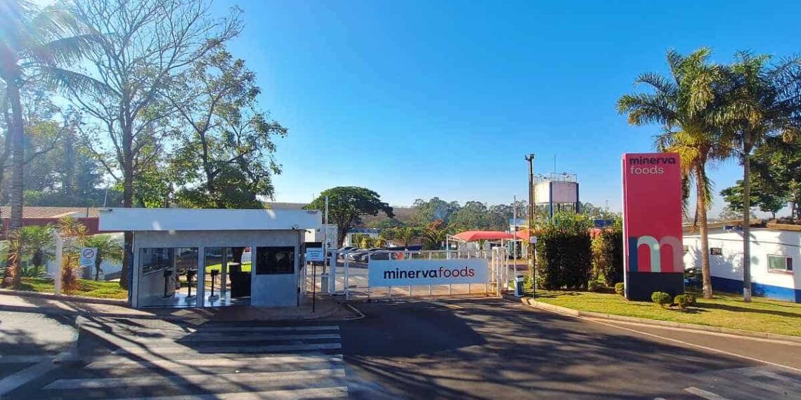 Minerva Foods recibe autorización adquirir plantas de procesamiento de bovinos en Brasil, Chile y Argentina