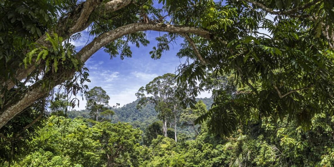 Consejos para viajar a zonas tropicales sin poner en riesgo tu salud