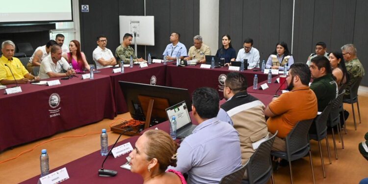 Rosi Bayardo Participó en la Reunión del Comité de Cruceros y se Copromete a Impulsar el Desarrollo Turístico – Manzanillo News