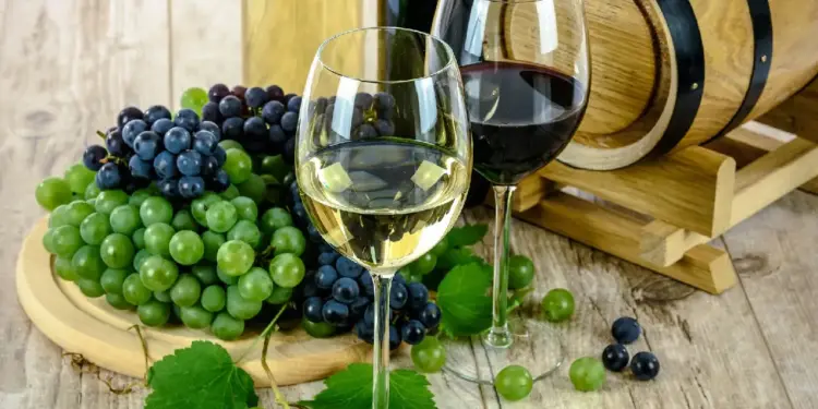 Los mejores países para hacer Enoturismo en el mundo