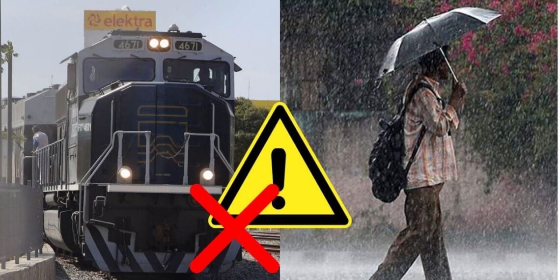 Tren Interoceánico: suspende viajes a Veracruz, Oaxaca y Chiapas hasta nuevo aviso