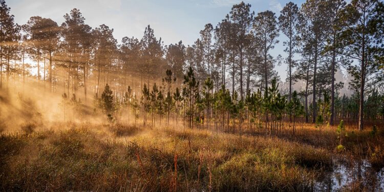 Tres destinos de viaje de EE. UU. figuran en la lista 'Lo mejor del mundo 2025' de Nationwide Geographic