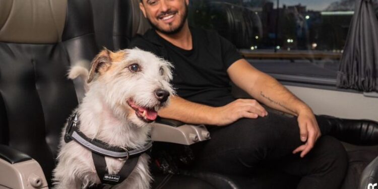 Una empresa de Transporte lanzó un servicio de viajes con mascotas