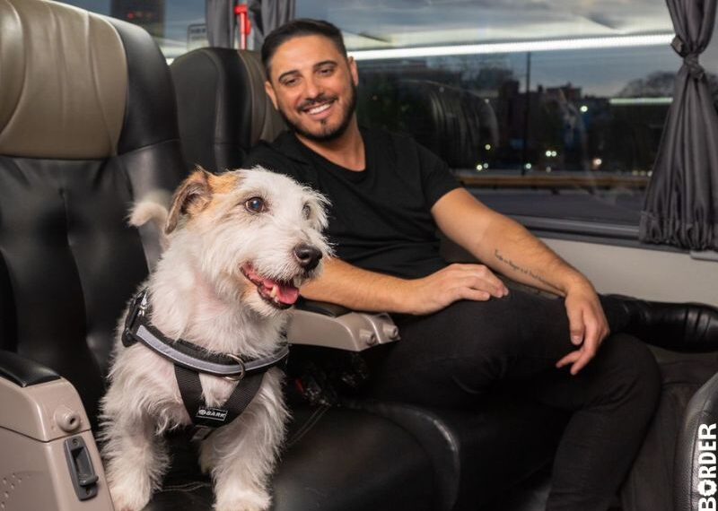 Una empresa de Transporte lanzó un servicio de viajes con mascotas