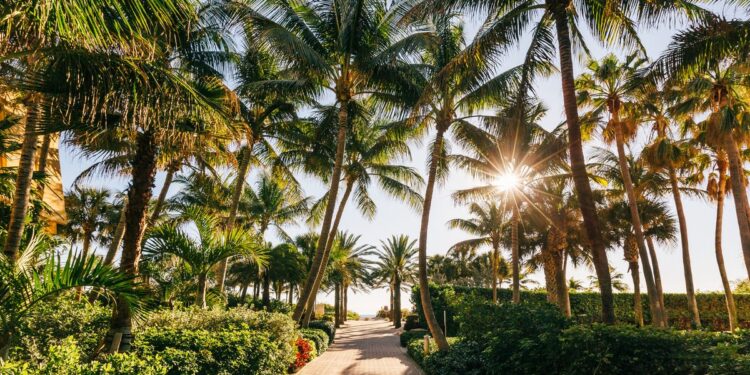 ¿Cuáles son las mejores ciudades de EE. UU. para vacacionar con poco presupuesto?