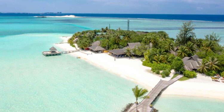 Black Friday 2024: ¿qué marcas tendrán descuentos en viajes?