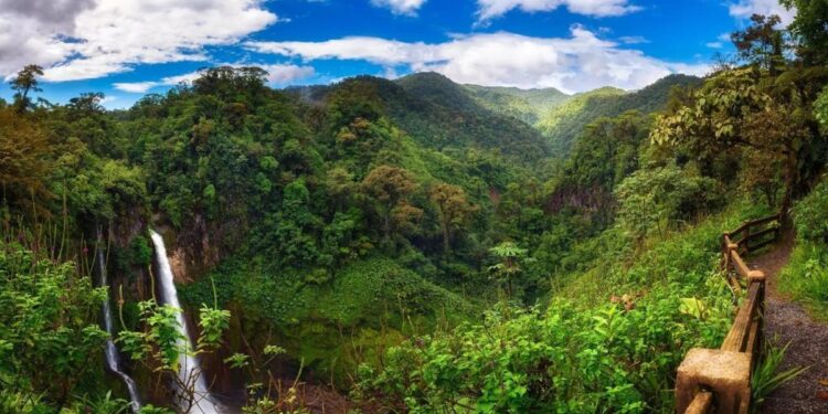 El Periódico Mediterráneo