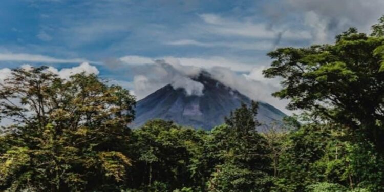 explora el paraíso del ecoturismo