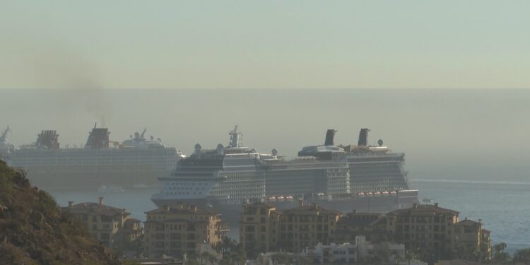 La sombra de la pandemia