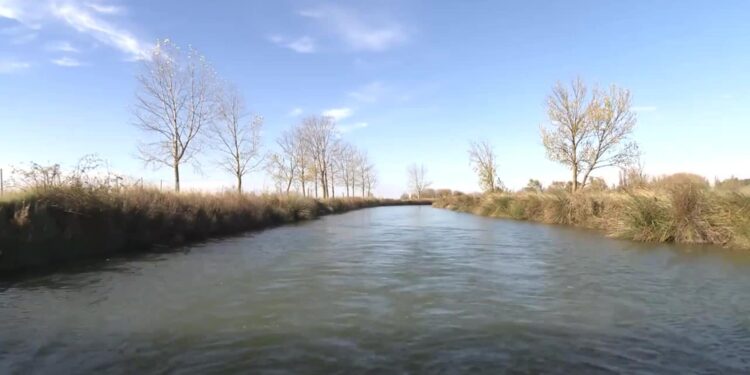 Historia y Naturaleza se dan la mano en los viajes en barco del Canal de Castilla en Palencia