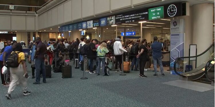 Tormenta de costa a costa complica viajes en Thanksgiving – Telemundo 62