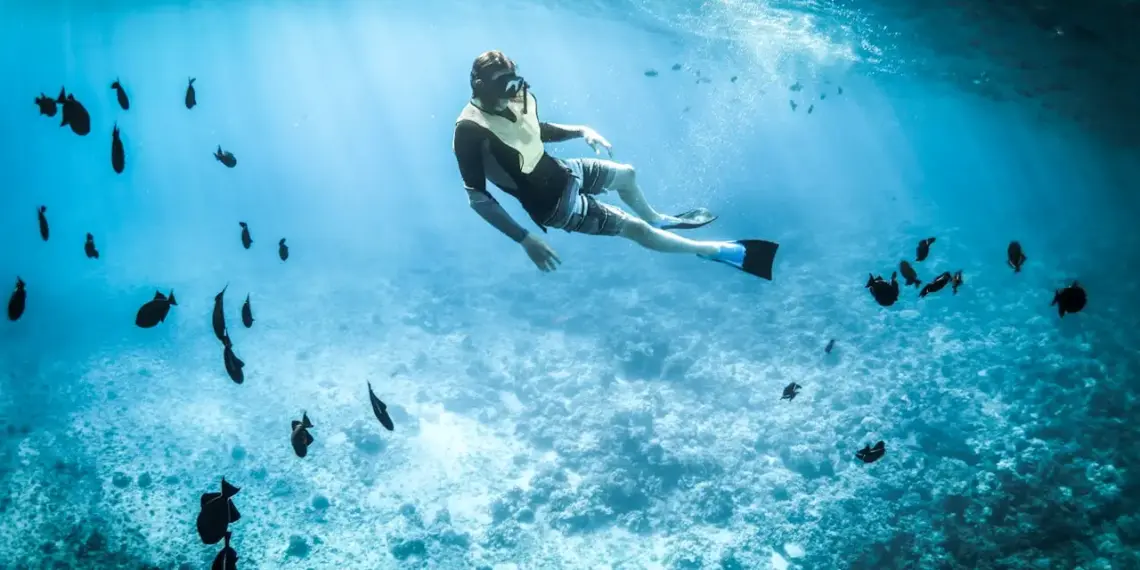 WTTC llama a líderes mundiales a invertir 65 mil mdd anuales para proteger el turismo marino • Negocios • Forbes México