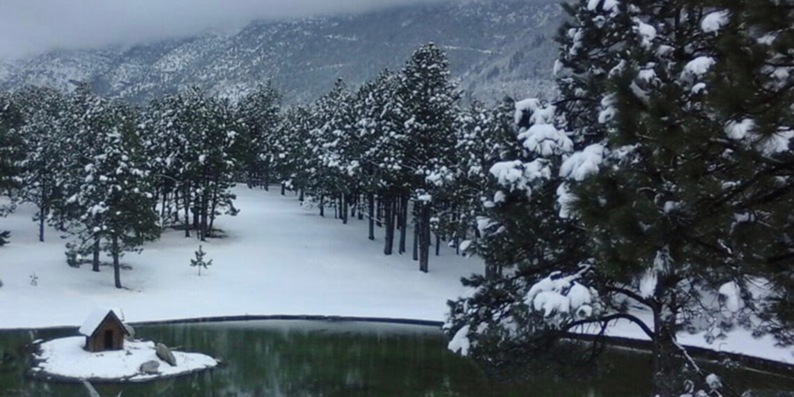 Los mejores destinos en Coahuila para disfrutar de la nieve
