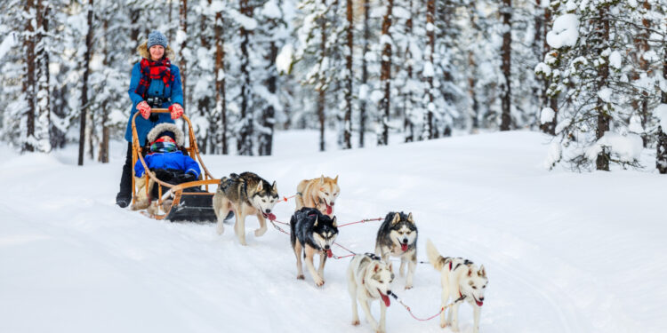 Agenttravel.ES - Noticias para el profesional del turismo