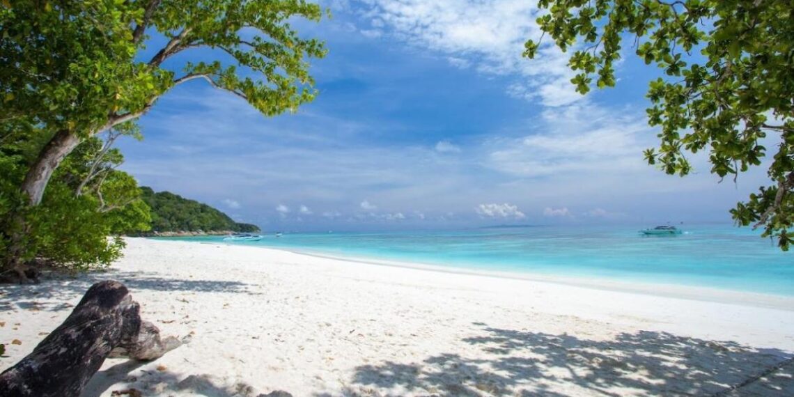 Black Friday Exoticca | Los viajes más vendidos con hasta el 70% de descuento