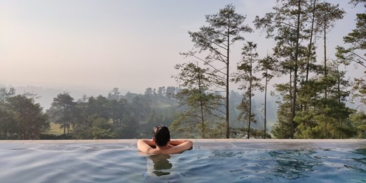 Ofertas imbatibles de Black Friday para agentes de viajes 