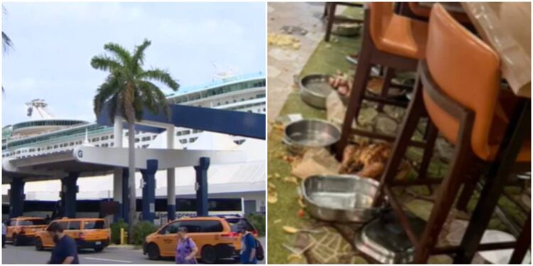 Pasajeros de un crucero de Royal Caribbean llegan a Miami tras experimentar un atraso de varios días debido al caos provocado por condiciones del tiempo desfavorables