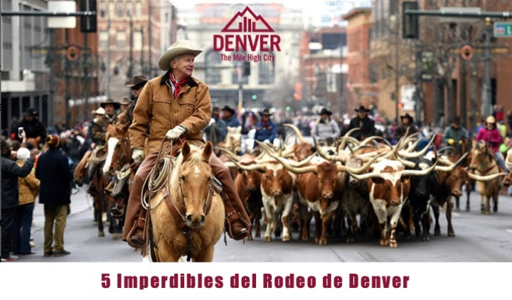 5 Imperdibles del Rodeo de Denver