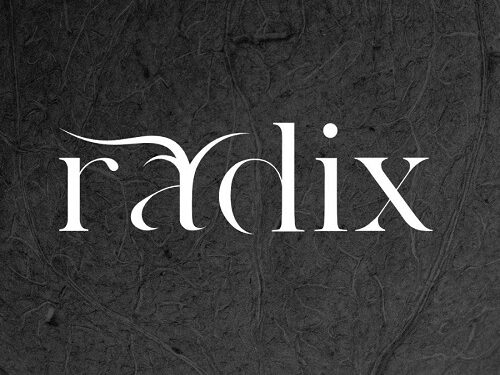 Invierno en Radix, una experiencia culinaria que inspira