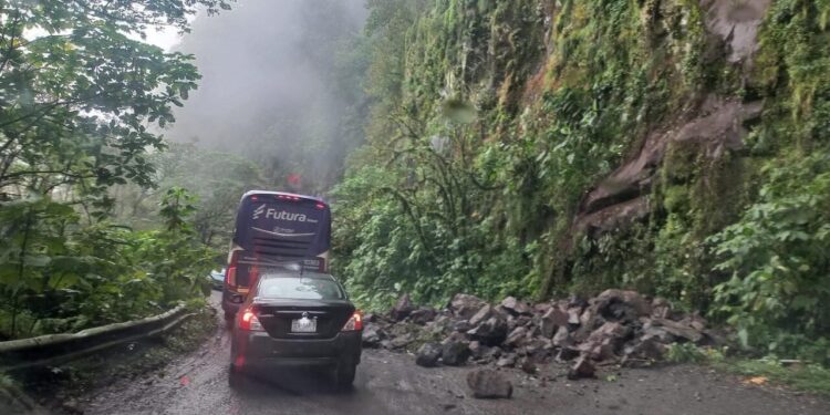 Derrumbes y malas condiciones en la México-Tuxpan impiden viajes decembrinos