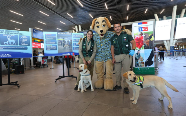 Aeropuerto de Santiago rompe récord de viajes con mascotas - Aviación