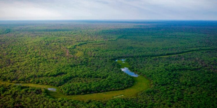 El Parque Nacional El Impenetrable fue elegido como uno de los mejores destinos para visitar en el 2025