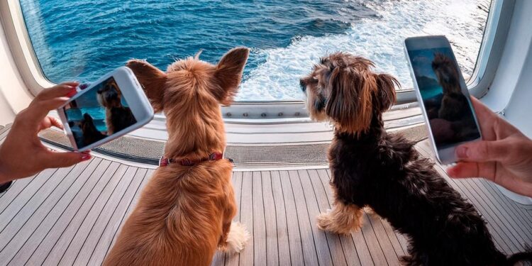 El primer crucero para perros