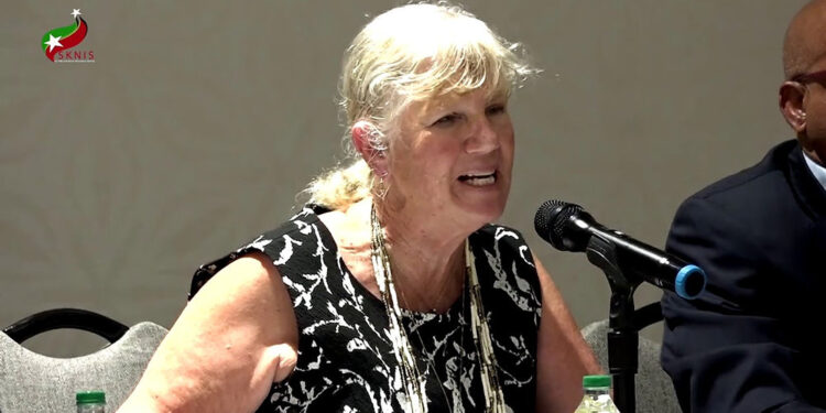 Asociación de Cruceros de Florida advierte que el nuevo impuesto a turistas de cruceros, sería devastador