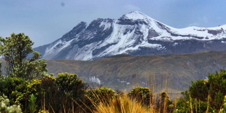 Crédito: Parques Nacionales Naturales de Colombia.